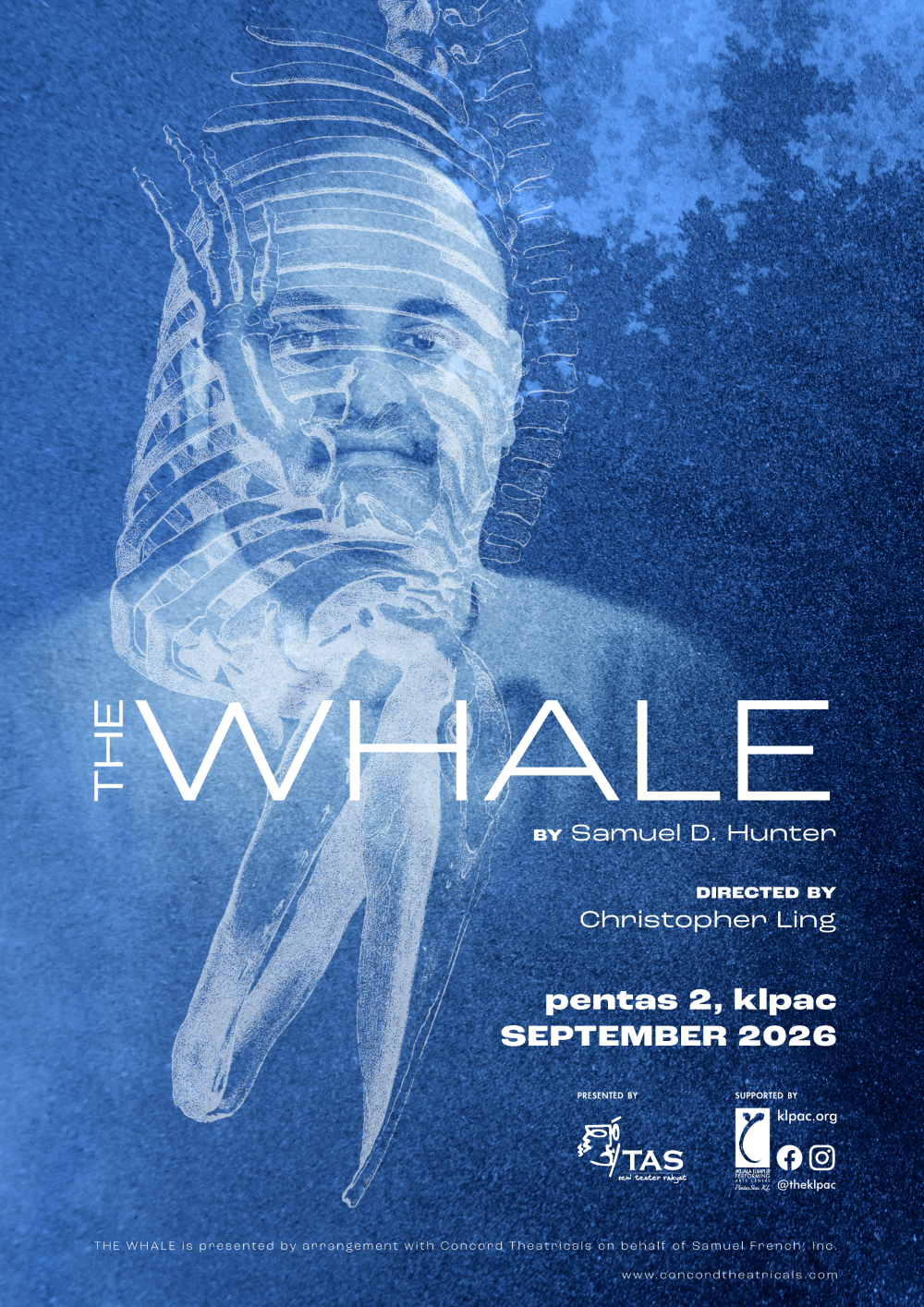 The Whale